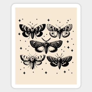 Moth, art, Sfingide Acherontia atropos, with flowers, witch, Halloween, magic, witchcraft, Wiccaoth, Sfingide Acherontia atropos, with flowers, witch, Halloween, magic, witchcraft, Wicca Magnet